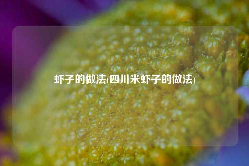 虾子的做法(四川米虾子的做法)
