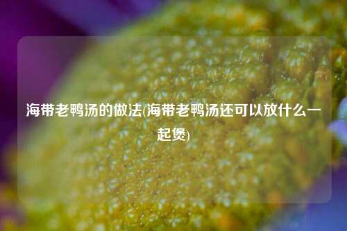 海带老鸭汤的做法(海带老鸭汤还可以放什么一起煲)