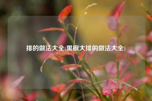 排的做法大全(黑椒大排的做法大全)