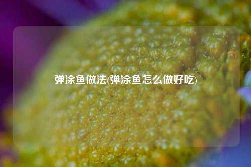 弹涂鱼做法(弹涂鱼怎么做好吃)