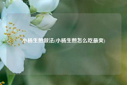 小杨生煎做法(小杨生煎怎么吃最爽)