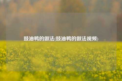 豉油鸭的做法(豉油鸭的做法视频)