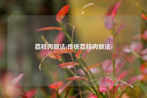 荔枝肉做法(传统荔枝肉做法)