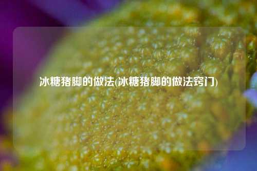 冰糖猪脚的做法(冰糖猪脚的做法窍门)