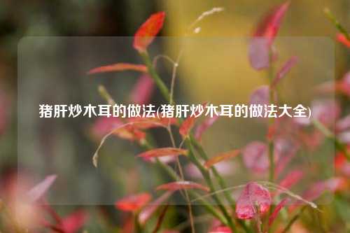 猪肝炒木耳的做法(猪肝炒木耳的做法大全)