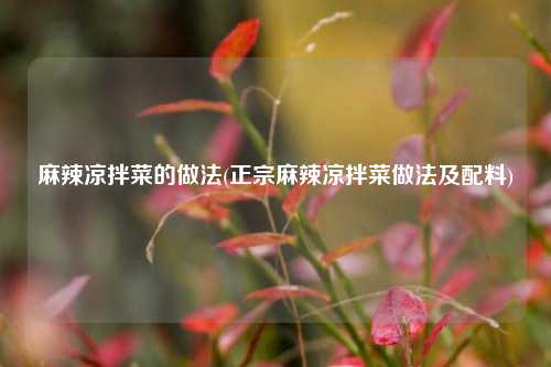 麻辣凉拌菜的做法(正宗麻辣凉拌菜做法及配料)