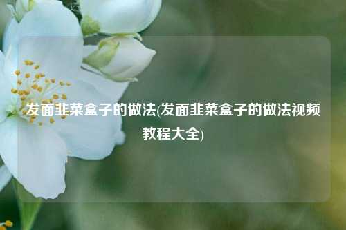 发面韭菜盒子的做法(发面韭菜盒子的做法视频教程大全)