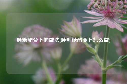 腌糖醋萝卜的做法(腌制糖醋萝卜怎么做)