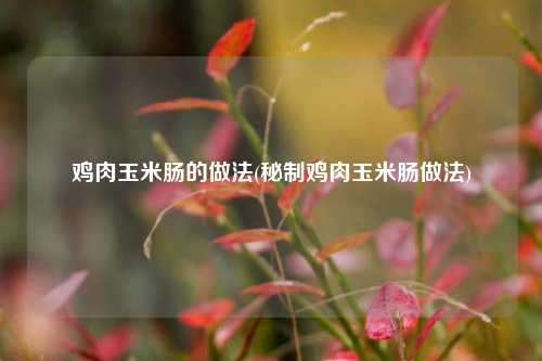 鸡肉玉米肠的做法(秘制鸡肉玉米肠做法)