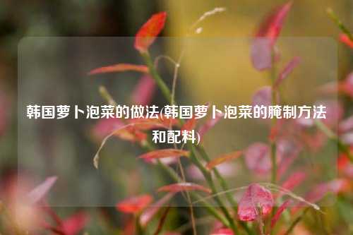 韩国萝卜泡菜的做法(韩国萝卜泡菜的腌制方法和配料)
