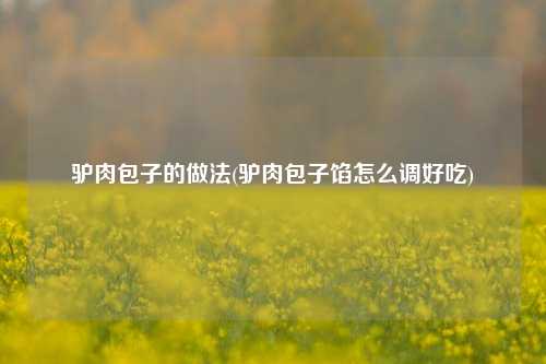 驴肉包子的做法(驴肉包子馅怎么调好吃)