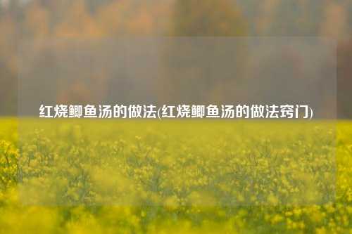 红烧鲫鱼汤的做法(红烧鲫鱼汤的做法窍门)