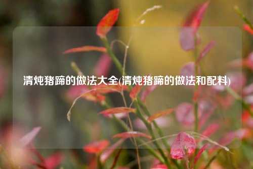 清炖猪蹄的做法大全(清炖猪蹄的做法和配料)
