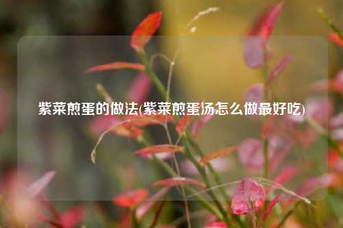 紫菜煎蛋的做法(紫菜煎蛋汤怎么做最好吃)
