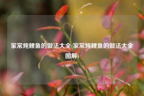 家常炖鲤鱼的做法大全(家常炖鲤鱼的做法大全图解)