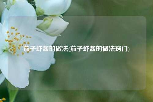 茄子虾酱的做法(茄子虾酱的做法窍门)