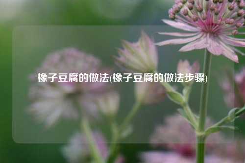 橡子豆腐的做法(橡子豆腐的做法步骤)