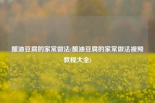 酿油豆腐的家常做法(酿油豆腐的家常做法视频教程大全)